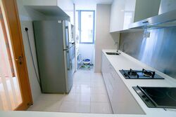 Park Infinia At Wee Nam (D11), Condominium #415310411
